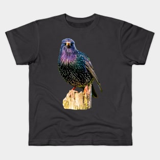 Starling Kids T-Shirt